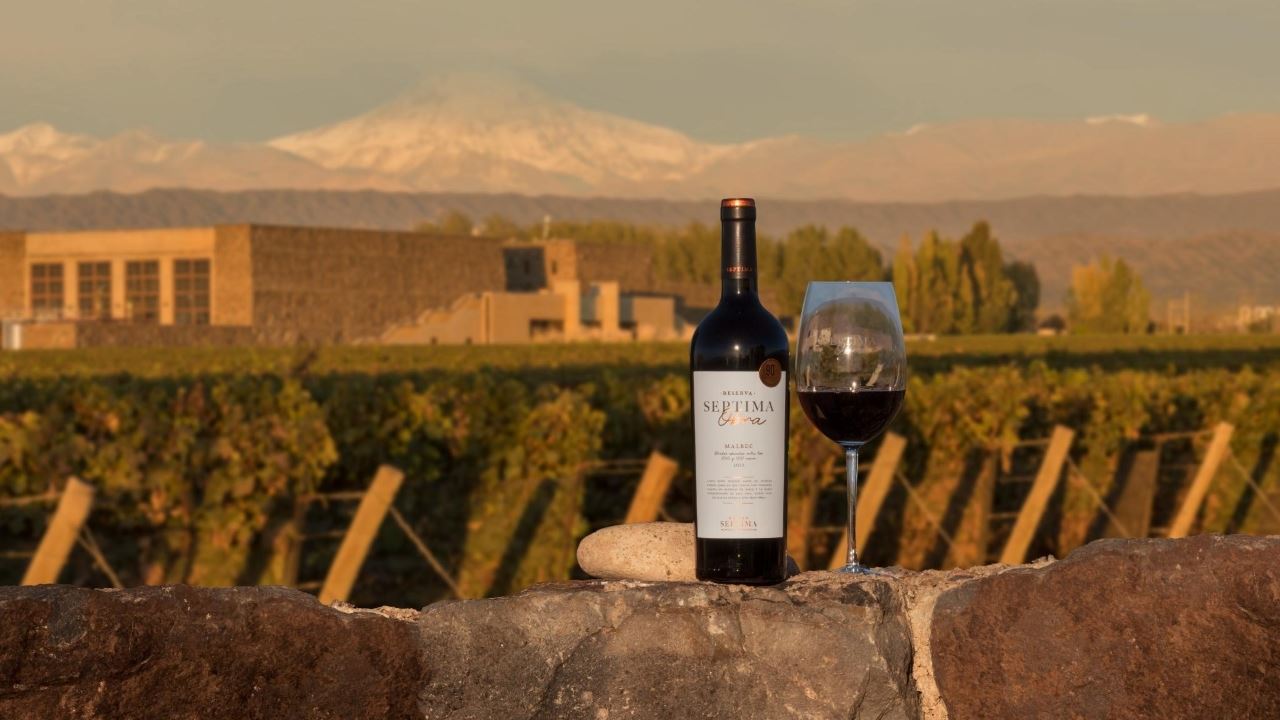 Sunset At Bodega Séptima foto 1