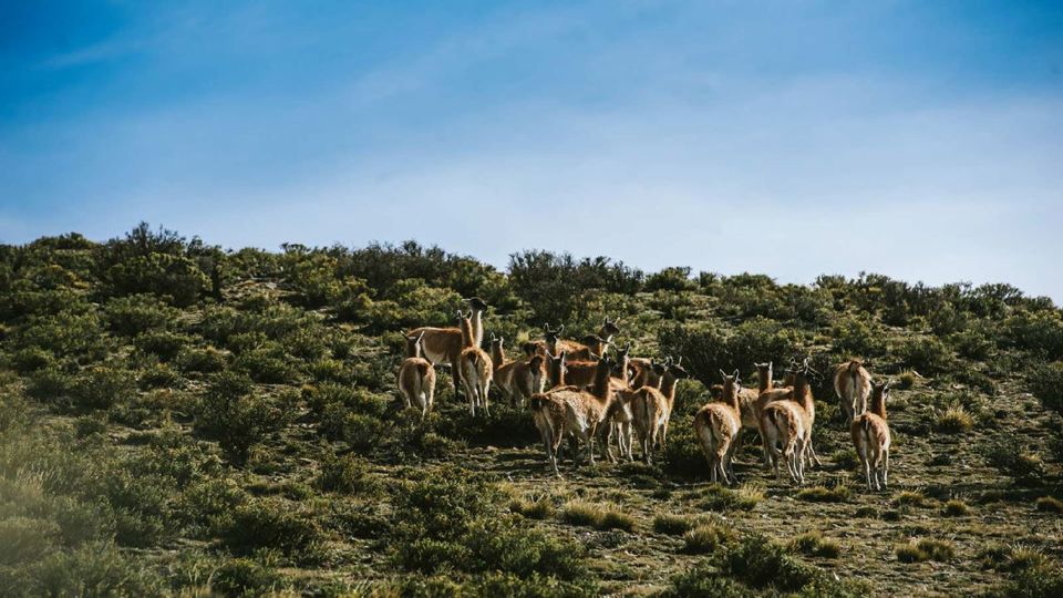 Aventura Andes Truck foto 1