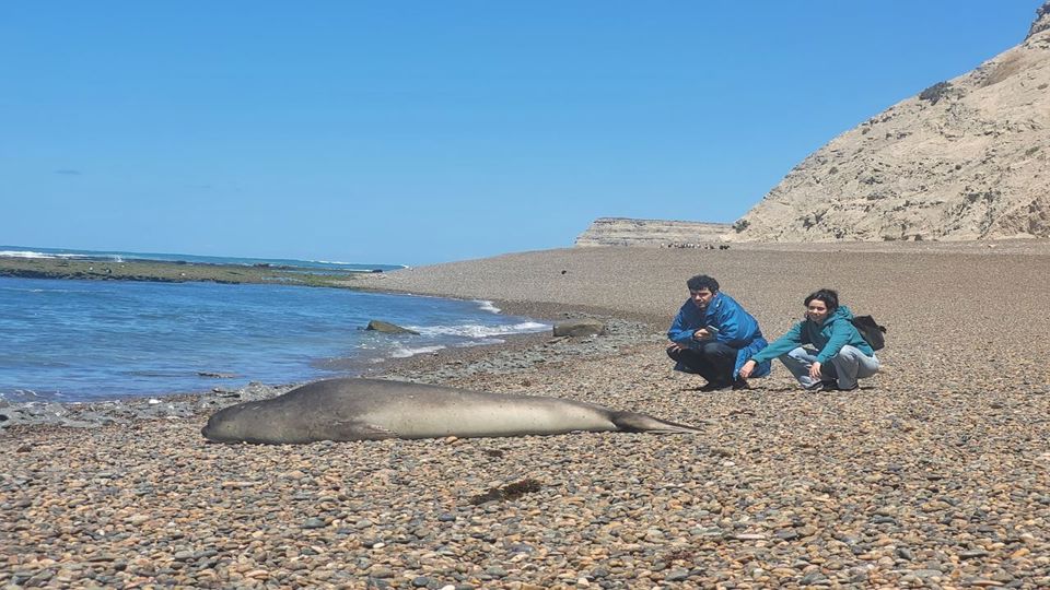 Aventura 4x4 Em Punta Ninfas foto 2