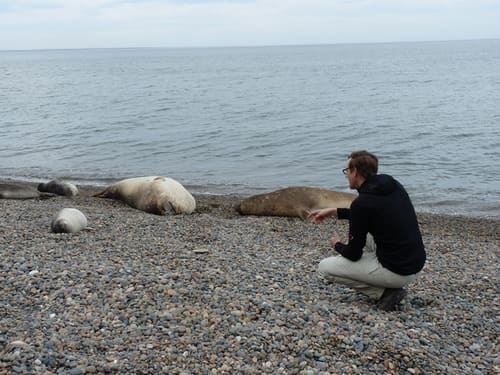Aventura 4x4 Em Punta Ninfas foto 5