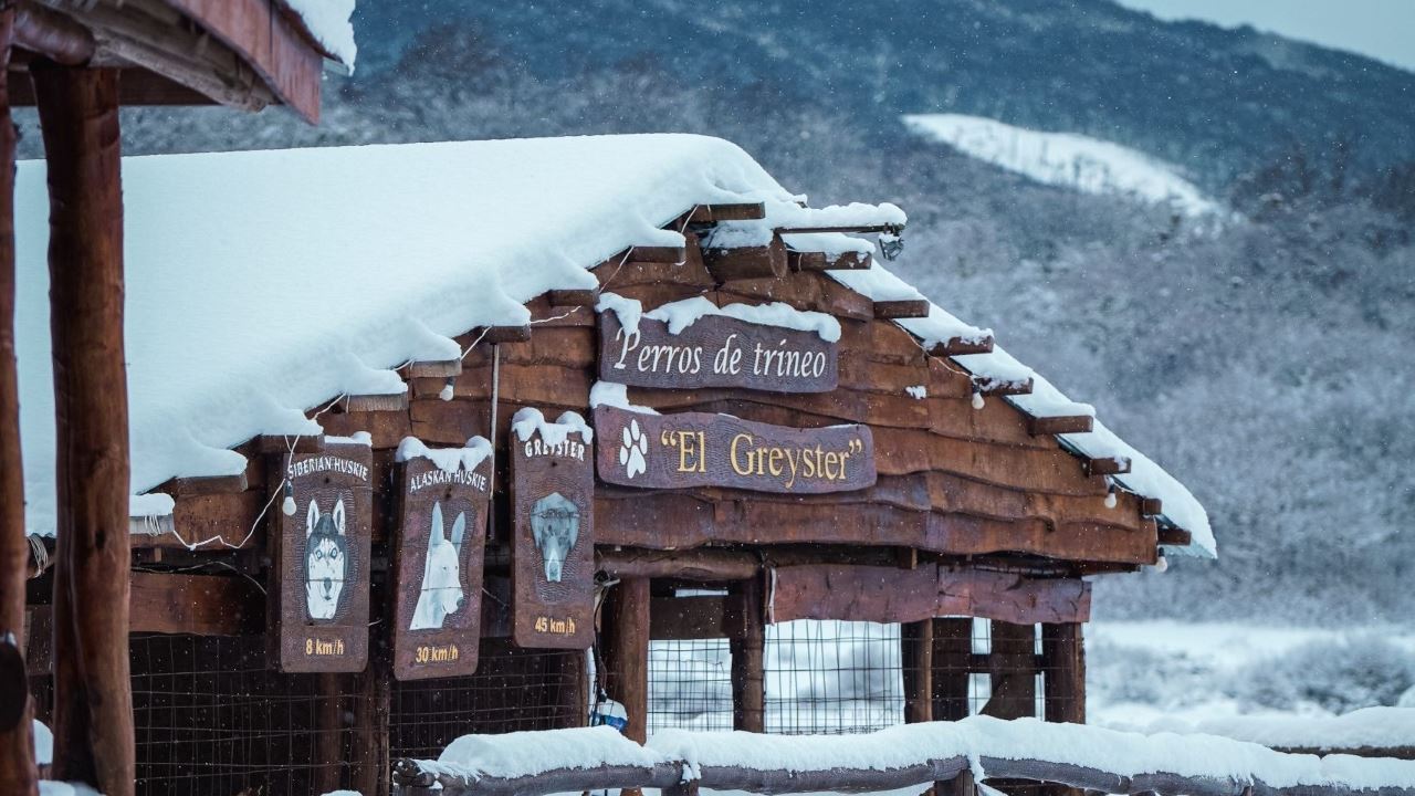 Aventura Invernal De Dia Completo Con Trekking Y Vehículo Utv (2)