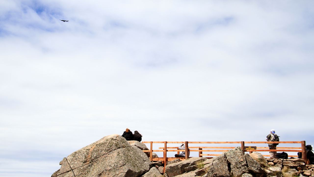Condor Sighting In Quebrada De Los Cóndores foto 6