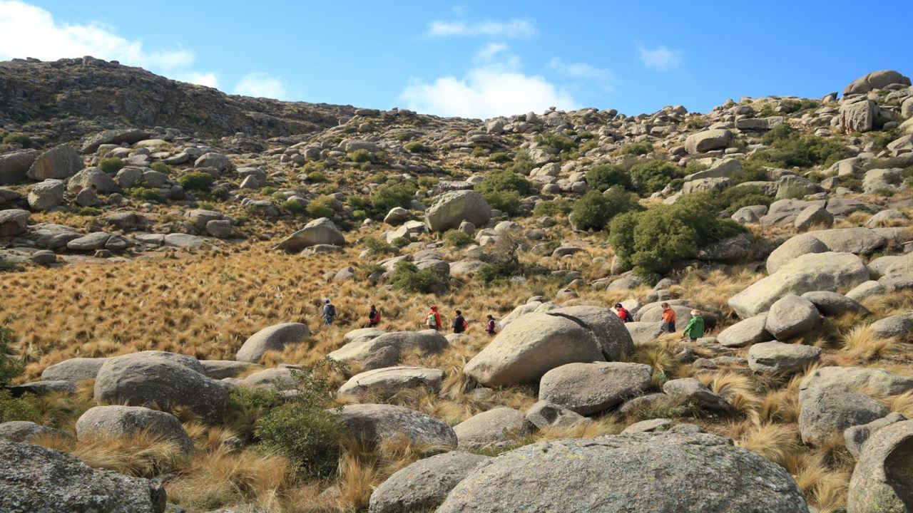Condor Sighting In Quebrada De Los Cóndores foto 8