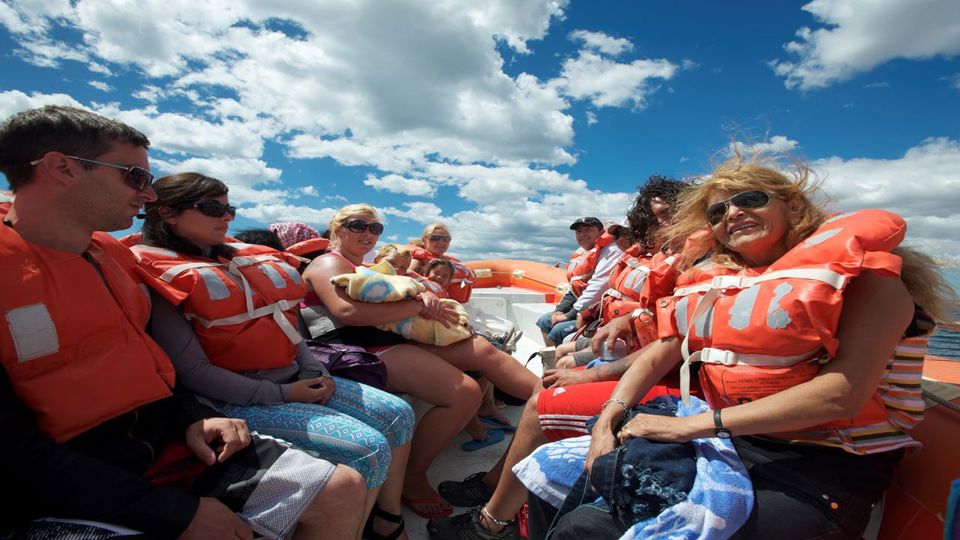 Avistaje De Toninas foto 3