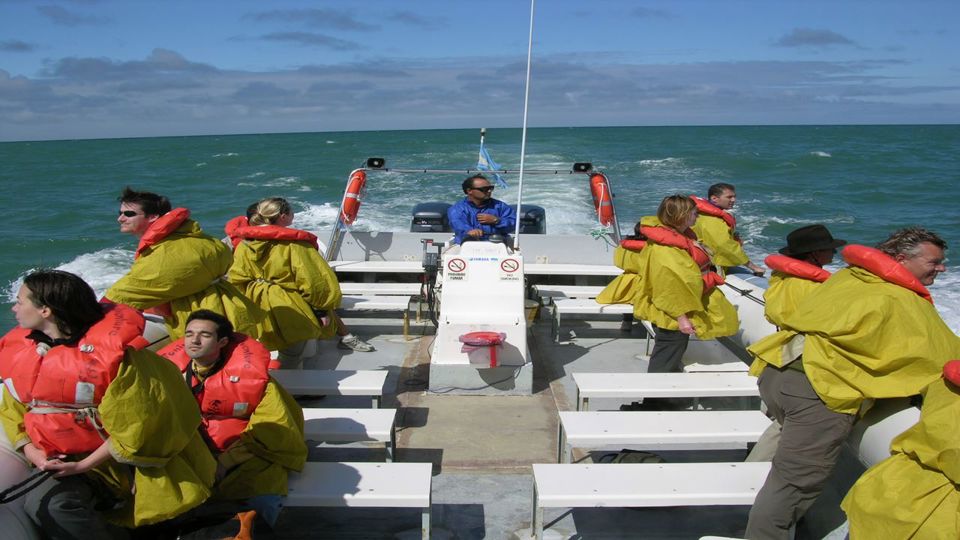 Avistaje De Toninas foto 2