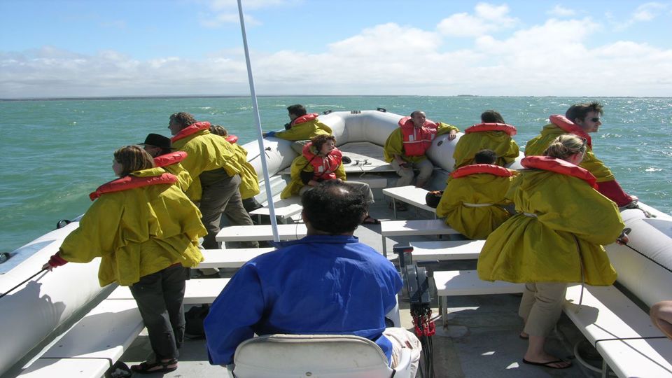 Avistaje De Toninas foto 4