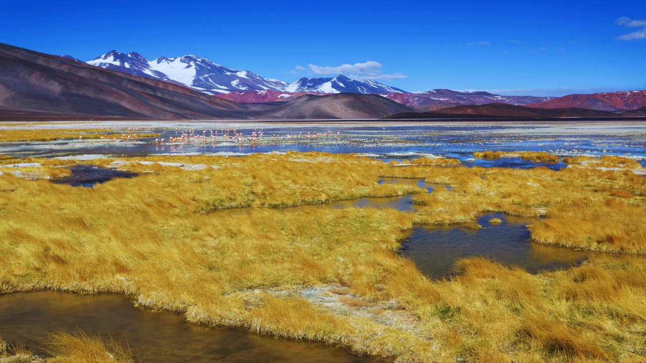 Balcón Del Pissis foto 4