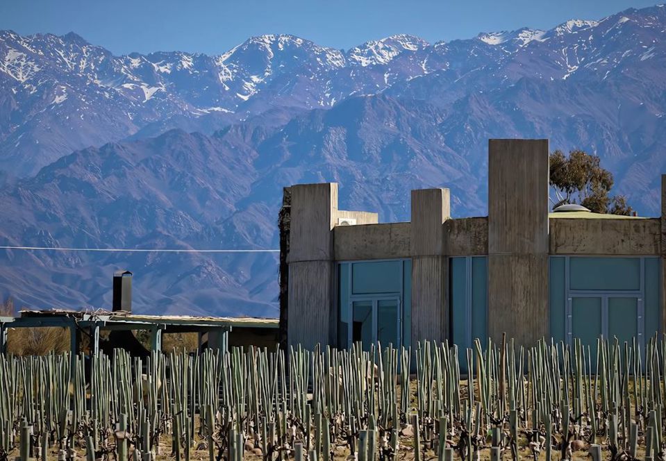 Degustação - Vinícola Superuco foto 8