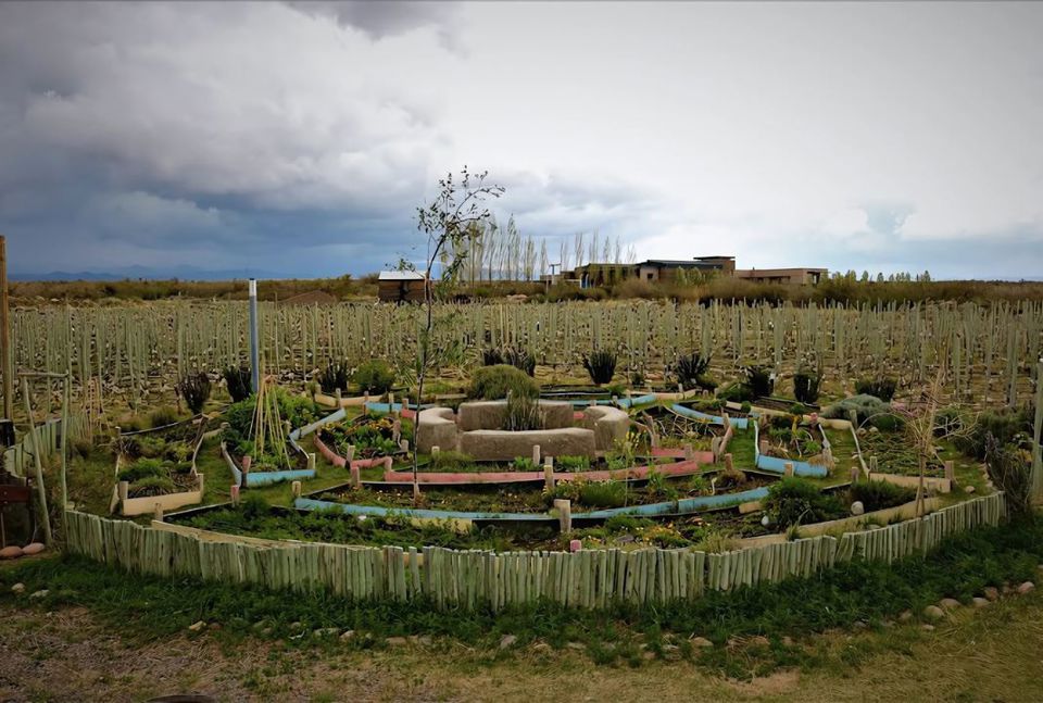 Degustação - Vinícola Superuco foto 7