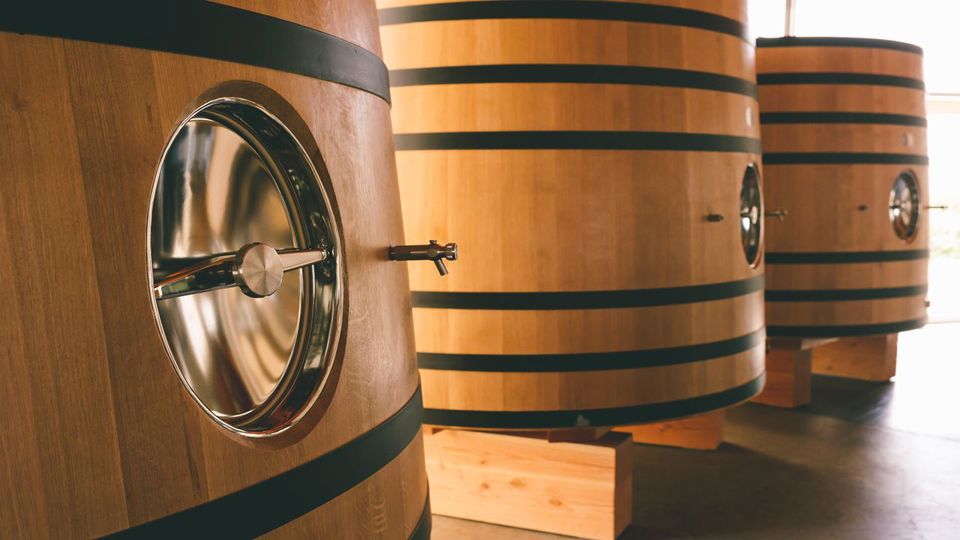 Degustação - Vinícola Superuco foto 2