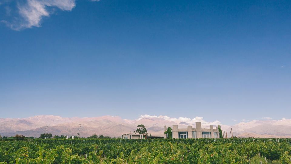 Degustação - Vinícola Superuco foto 1