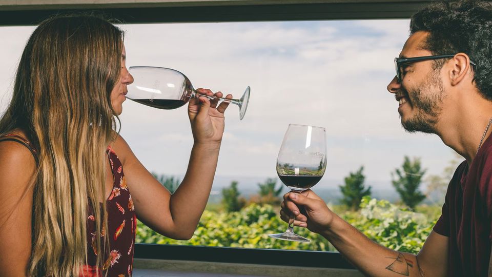 Degustação - Vinícola Superuco foto 3