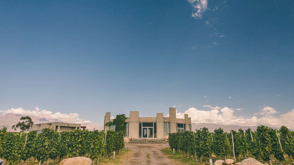 Degustação - Vinícola Superuco foto 6