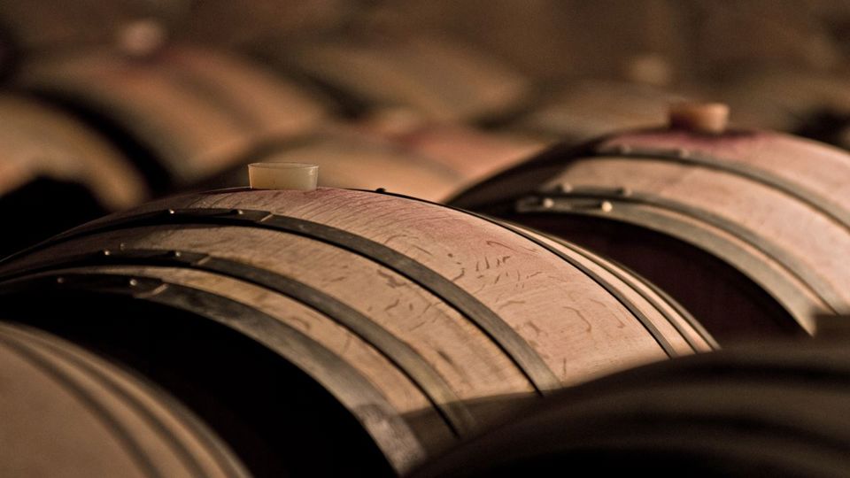 Degustação Privada De Vinhos foto 3