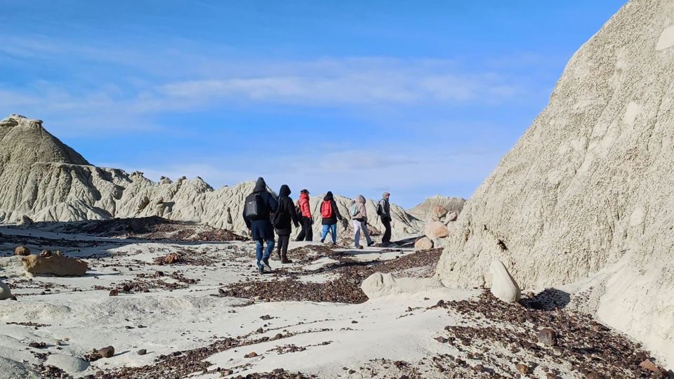 Bosque Petrificado La Leona foto 2