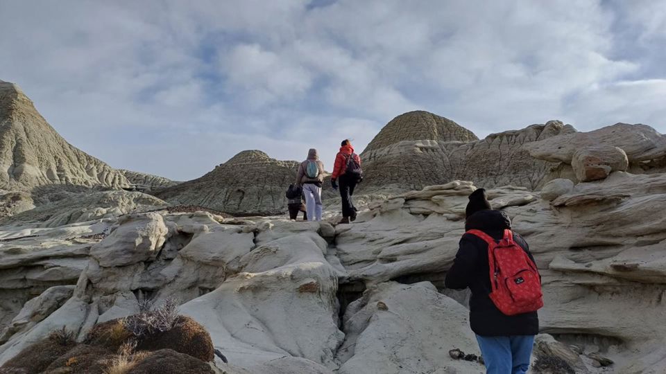 Bosque Petrificado La Leona foto 1