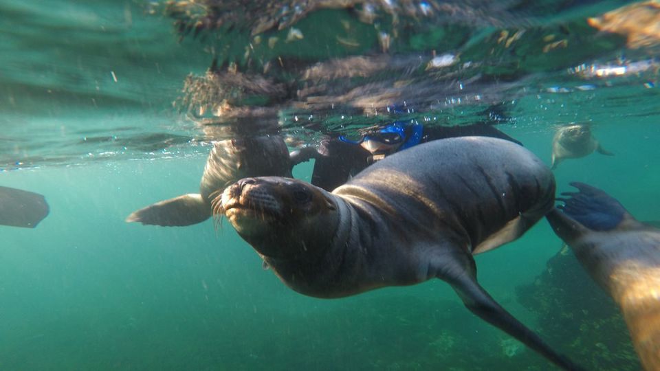 Buceo - Bautismo Submarino foto 1
