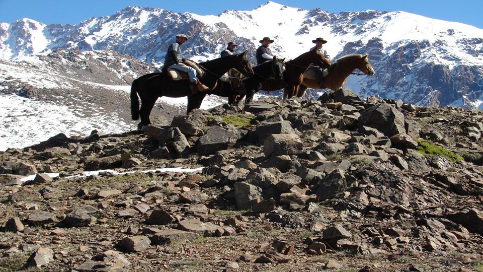 Passeio A Cavalo Ao Pôr Do Sol Em Mendoza foto 2