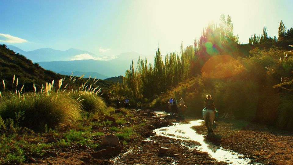 Passeio A Cavalo Ao Pôr Do Sol Em Mendoza foto 3