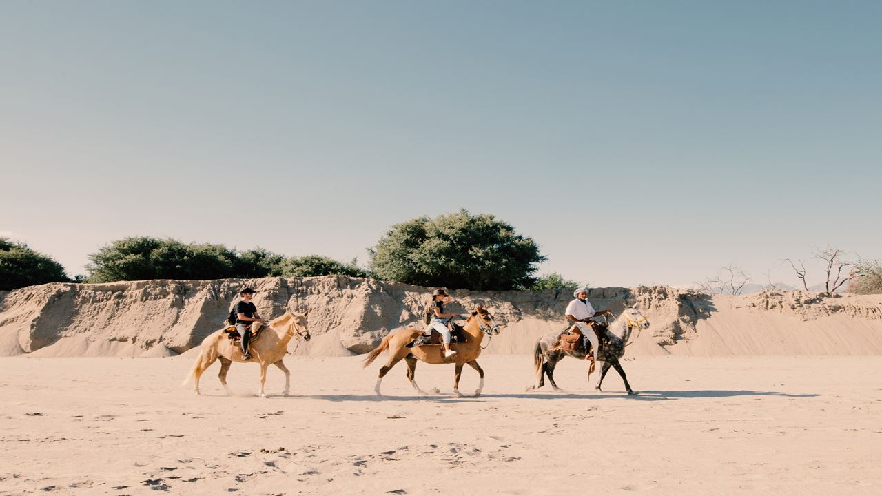 Cabalgata Con Degustación De Vinos Y Quesos En Bodega El Esteco foto 10