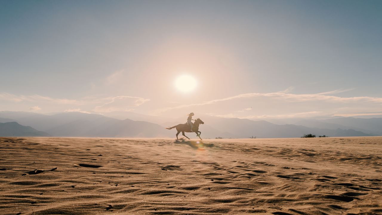Cabalgata Con Degustación De Vinos Y Quesos En Bodega El Esteco foto 5