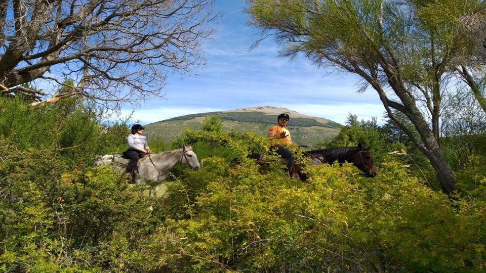 Passeio A Cavalo Na Estância Peuma Hue foto 8