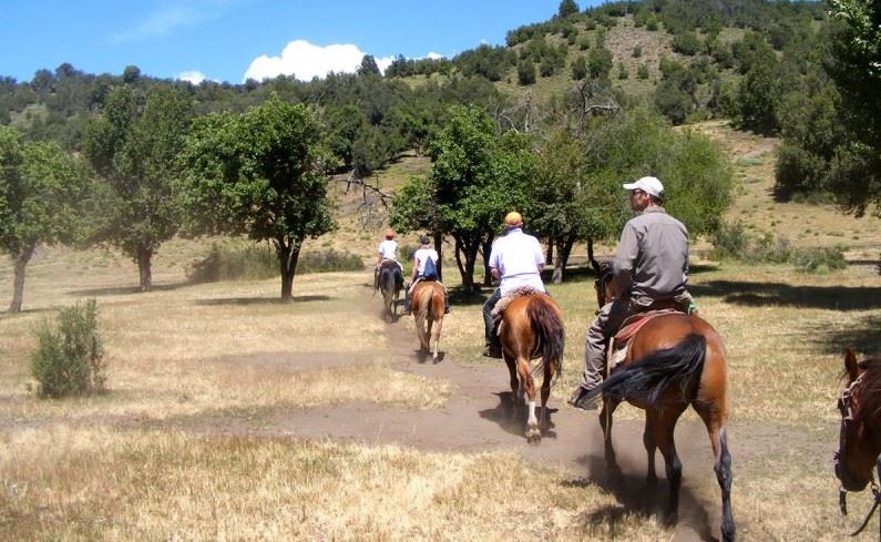 Passeio Pela Comunidade Mapuche foto 3