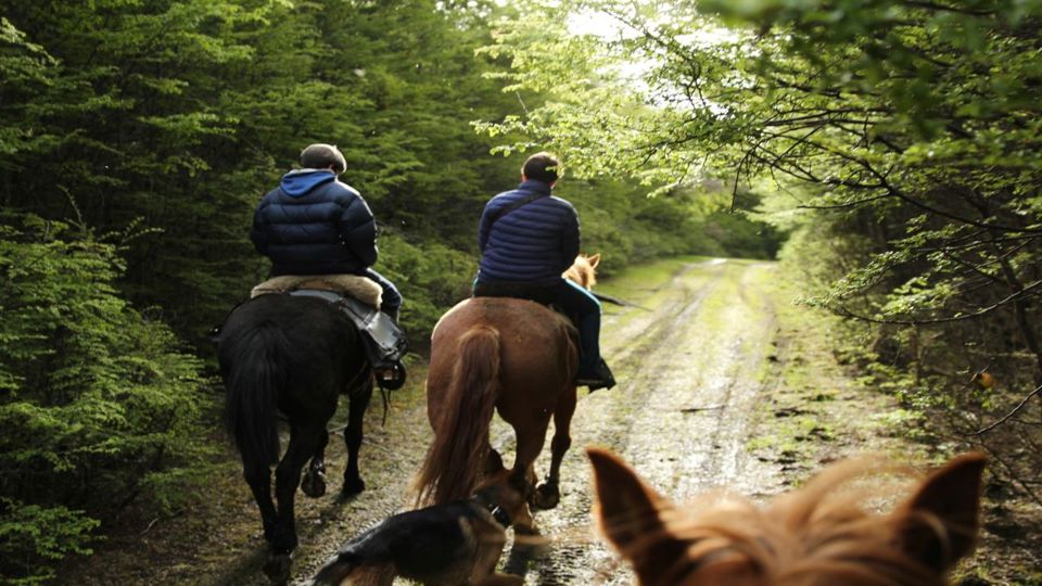 Passeio A Cavalo Pelo Lago Escondido foto 8