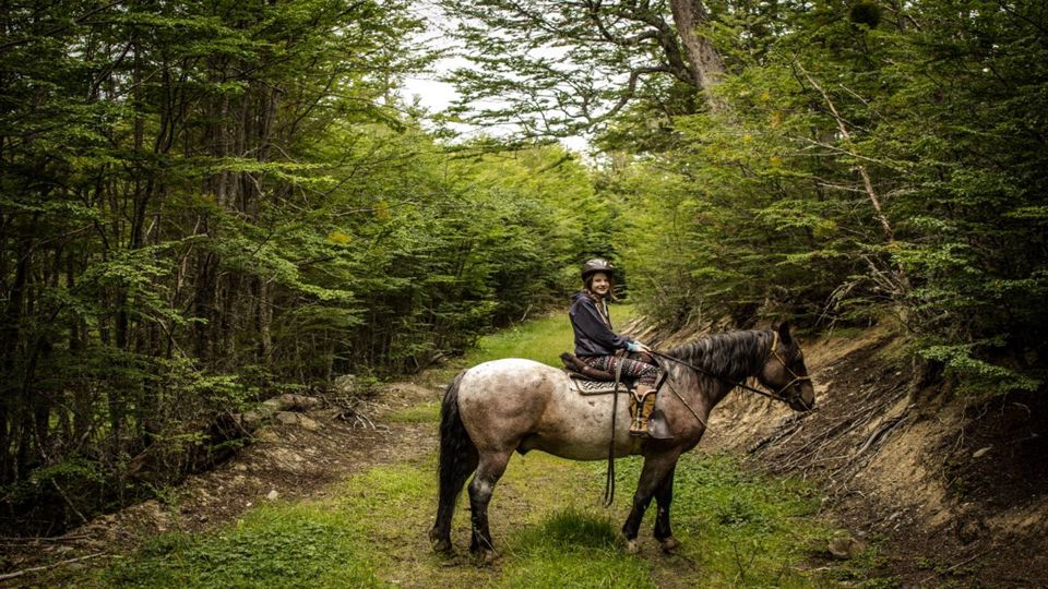 Passeio A Cavalo Pelo Lago Escondido foto 2