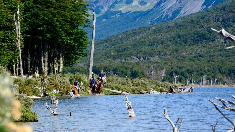 Passeio A Cavalo Pelo Lago Escondido foto 6