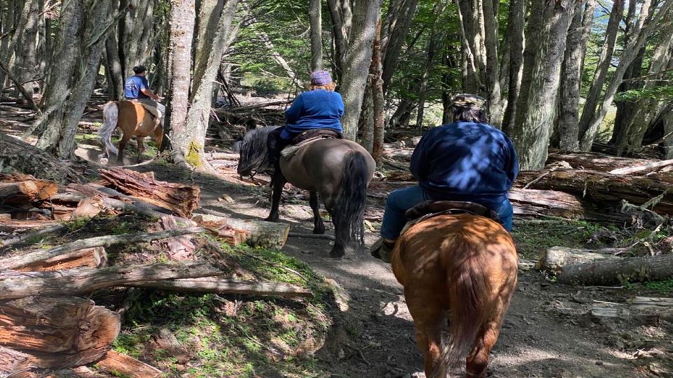 Passeio A Cavalo Pelo Lago Escondido foto 9