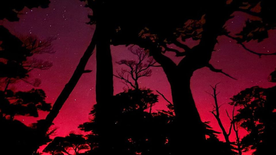 Night Walk In Monte Susana foto 7