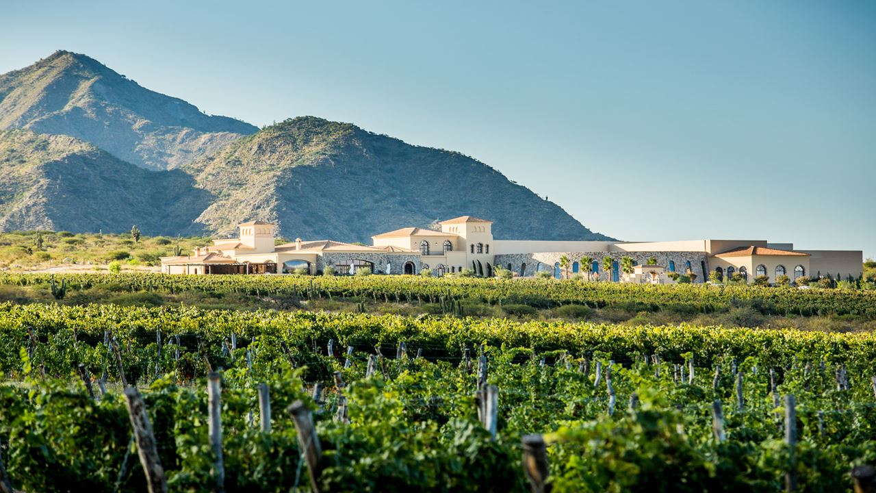 Premium Wine Road foto 6