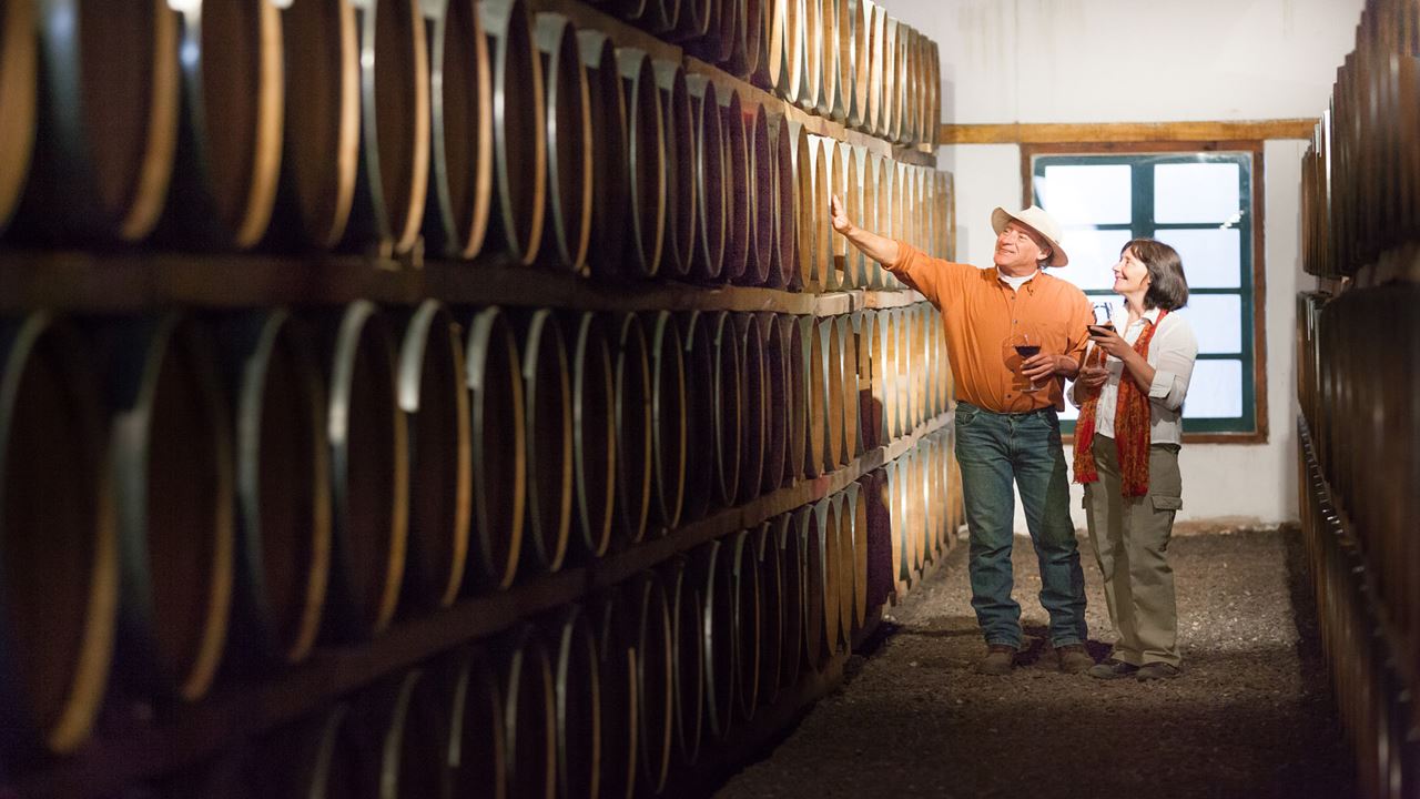 Premium Wine Road foto 1