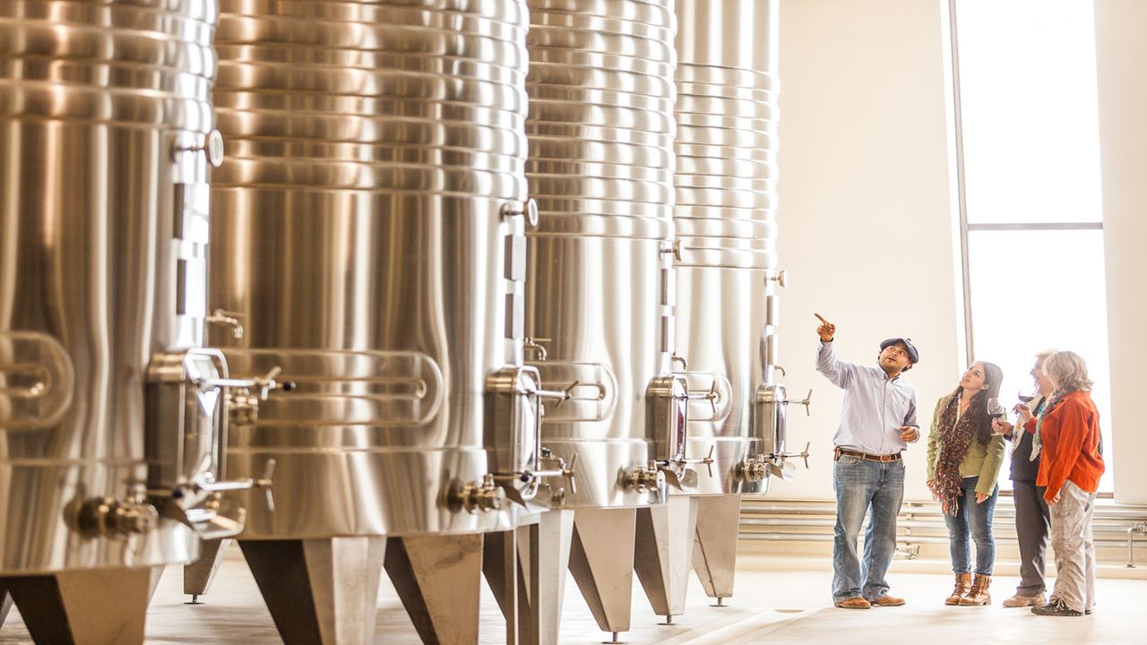 Premium Wine Road foto 2