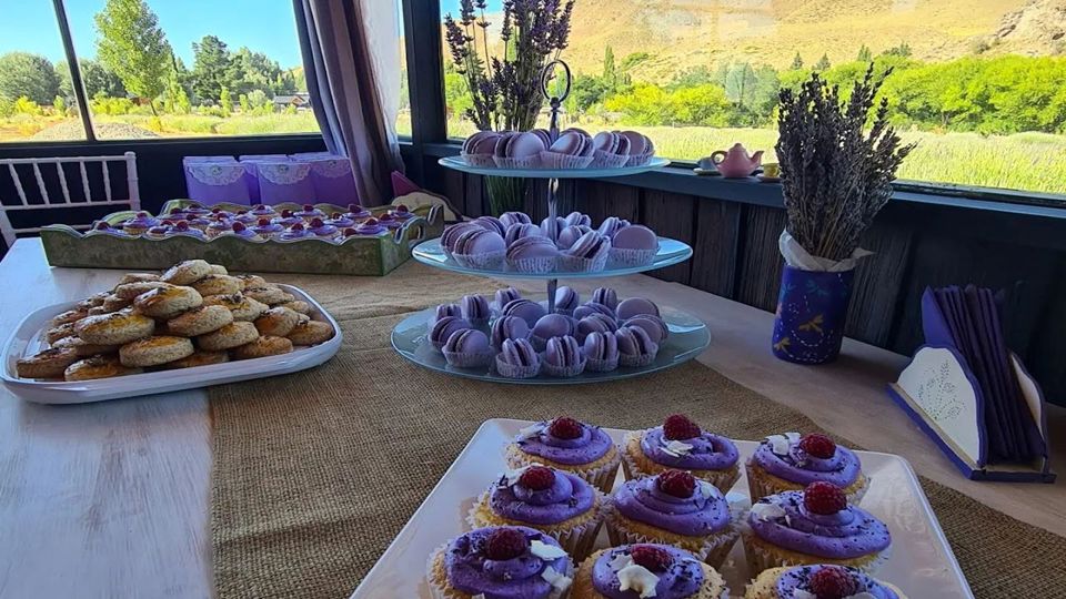 Campos De Lavanda Com Snack foto 2