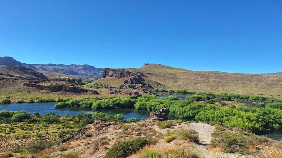 Campos De Lavanda Com Snack foto 3