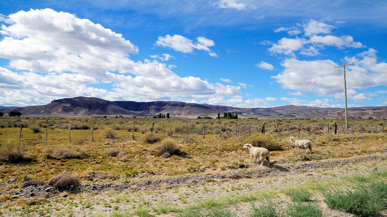Canadão De Vultura E Parada De Pedra foto 5