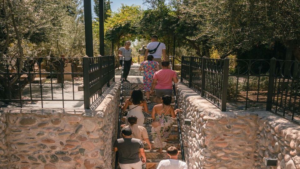 Cata De Vinos Bodega Casa Vigil foto 4