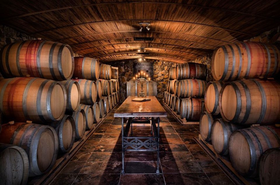 Cata De Vinos Bodega Casa Vigil foto 12