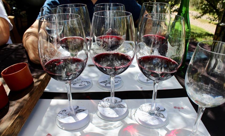 Cata De Vinos Bodega Casa Vigil foto 1