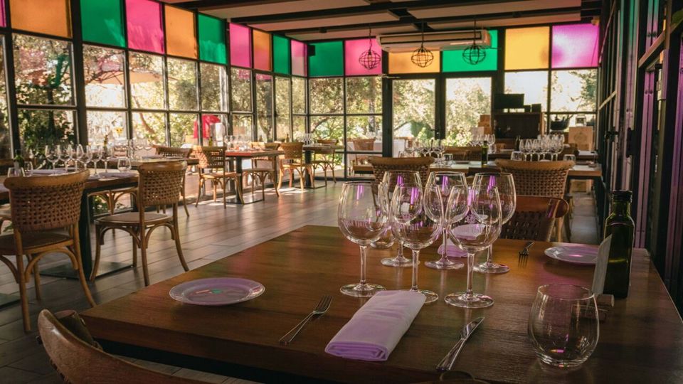 Cata De Vinos Bodega Casa Vigil foto 9