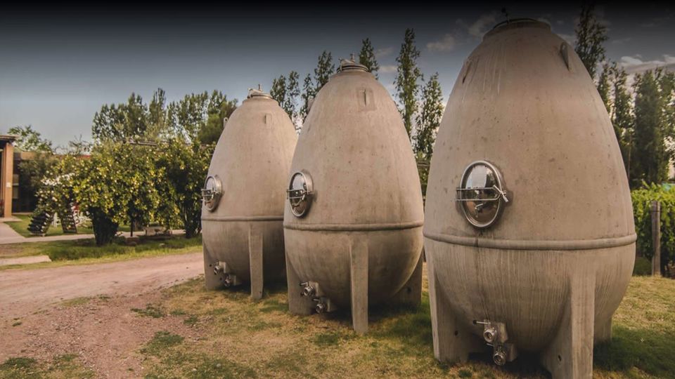 Cata De Vinos Bodega Casa Vigil foto 2