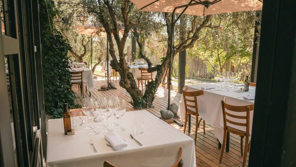 Cata De Vinos Bodega Casa Vigil foto 10