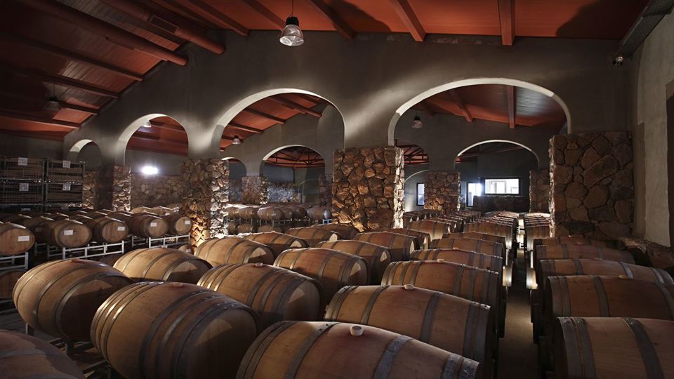 Cata De Vinos Y Almuerzo En Lujan De Cuyo foto 4