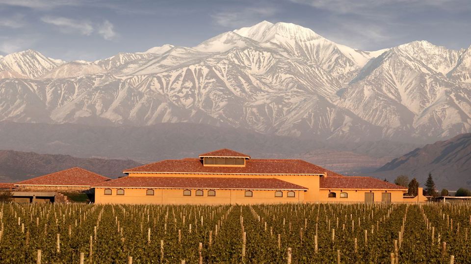 Cata De Vinos Y Almuerzo En Lujan De Cuyo foto 8