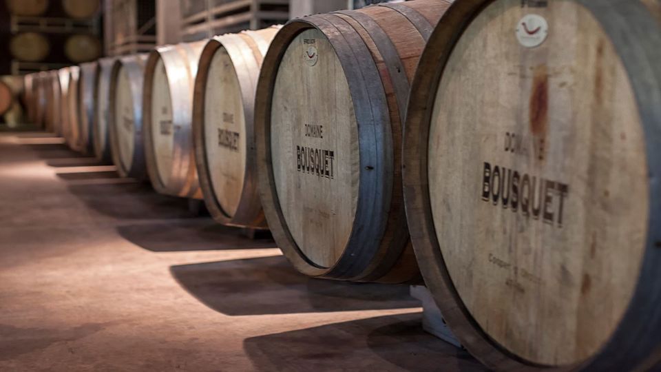 Degustação De Vinhos E Almoço No Vale Do Uco foto 5