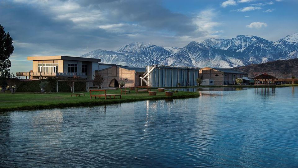 Degustação De Vinhos E Almoço No Vale Do Uco foto 4