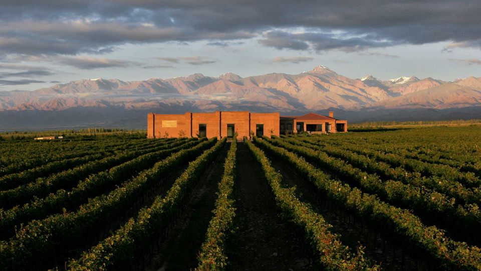 Degustação De Vinhos E Almoço No Vale Do Uco foto 6