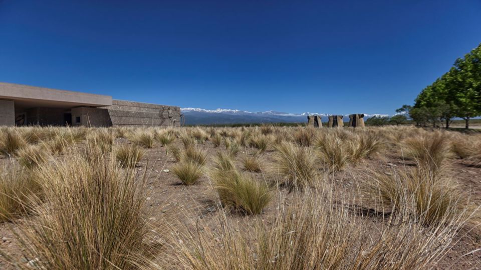 Degustação De Vinhos E Almoço No Vale Do Uco foto 1